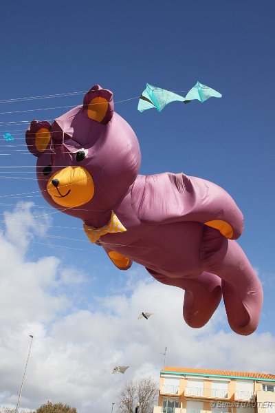 Festival Cerfs Volants Chatelaillon 2010_002.JPG